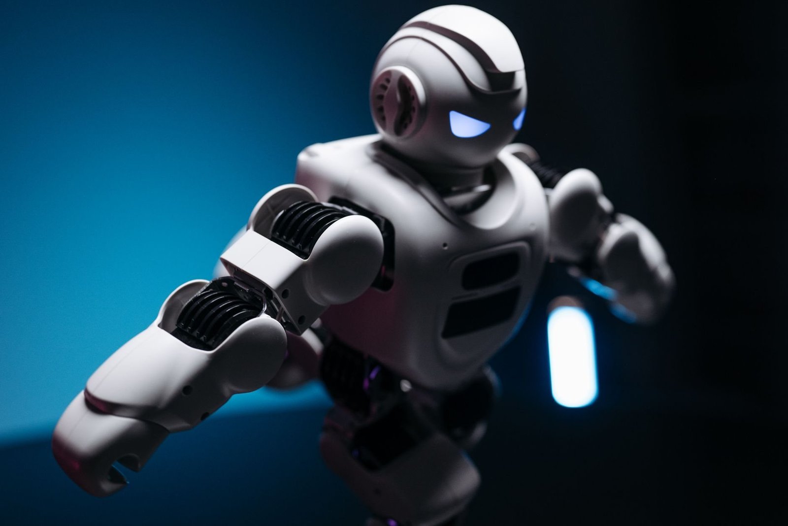 Sexroboter: Versteckte Wartungskosten im Überblick